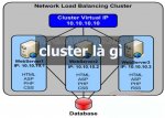 cluster-la-gi (2).jpg